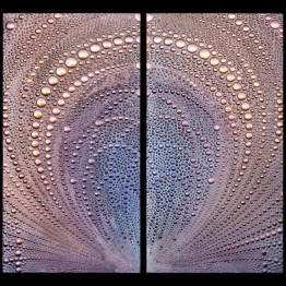 Corollary2b_28x63_150ppi