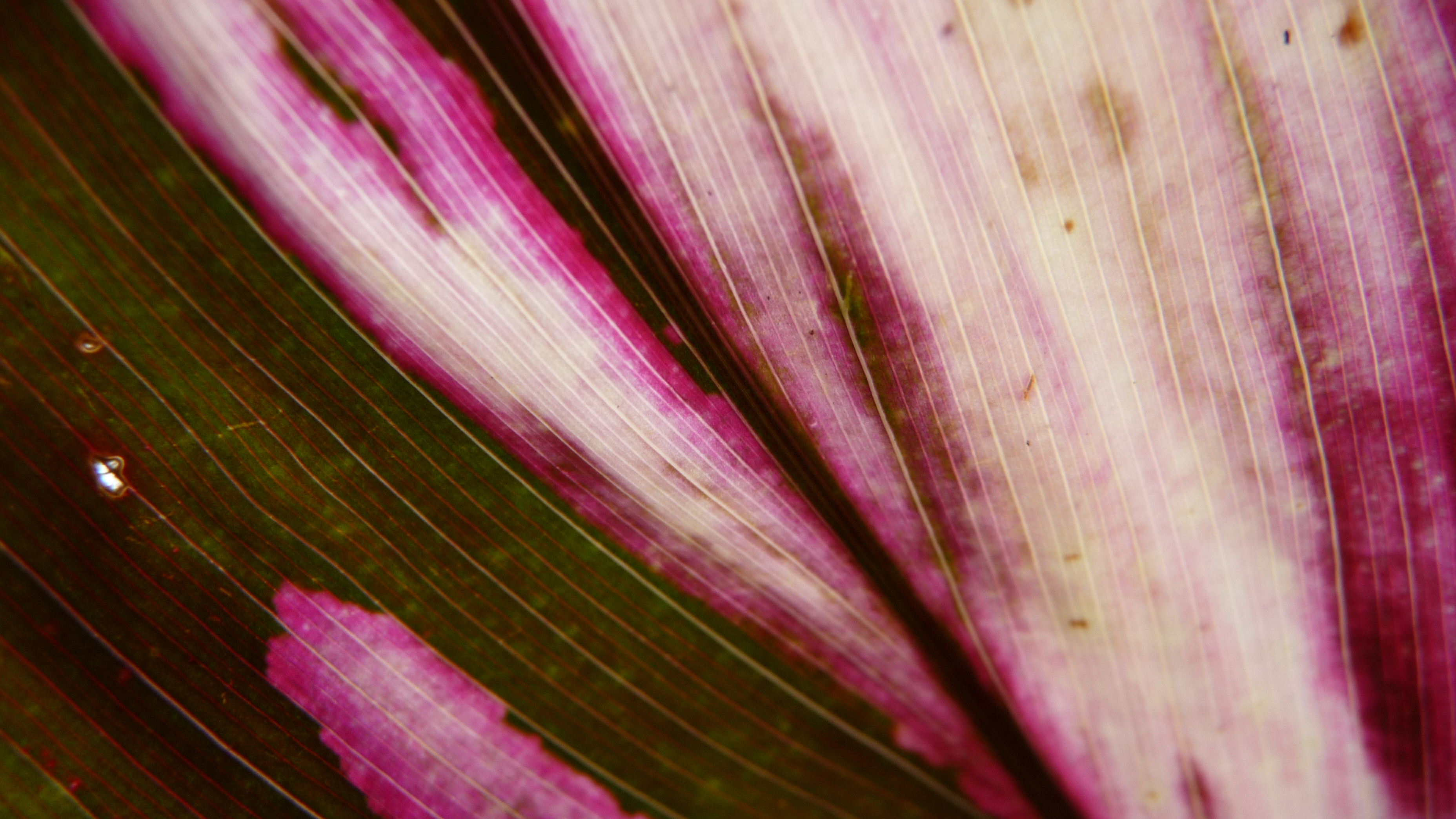 P1090150 P1090150