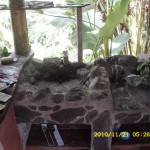 SDC10159 SDC10159