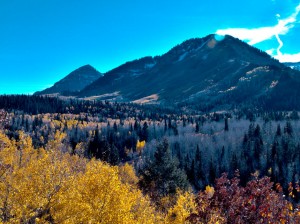Untitled_HDR2